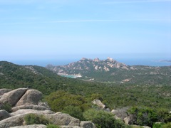 ROCCAPINA