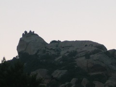 ROCCAPINA