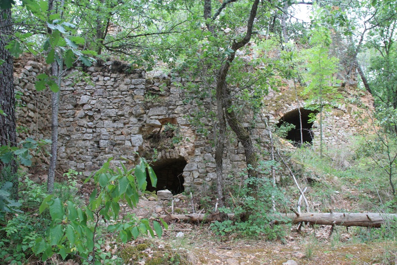 IMG_4135.JPG