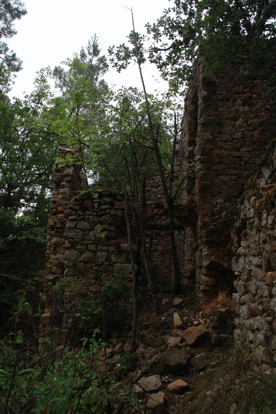 IMG_4141.JPG