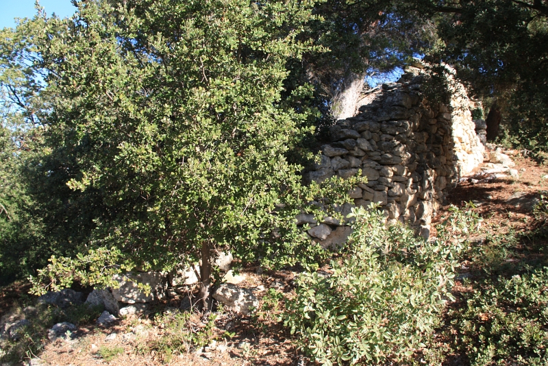 IMG_0187.JPG