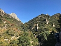 IMG_3875