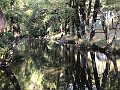 IMG_4326