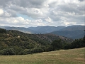IMG_4327