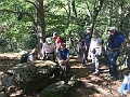 IMG_4341