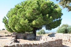 SITE ARCHEOLOGIQUE ALERIA 