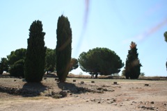 SITE ARCHEOLOGIQUE ALERIA 