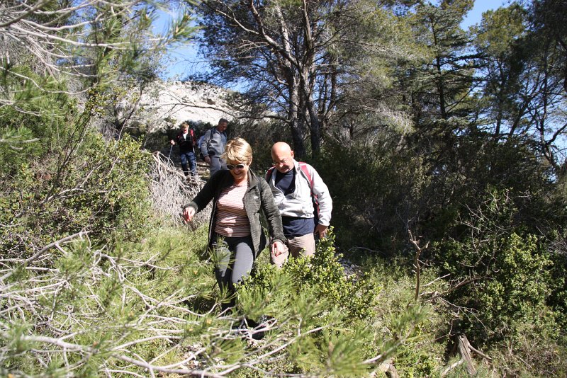 IMG_8280.JPG - UN SENTIER AU MILIEU DES PINS / NOUS AVANCONS BIEN 