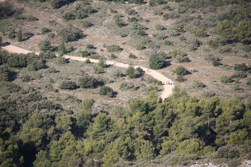 IMG_7220.JPG - ... SUR LE CHEMIN DES TAILLADES 