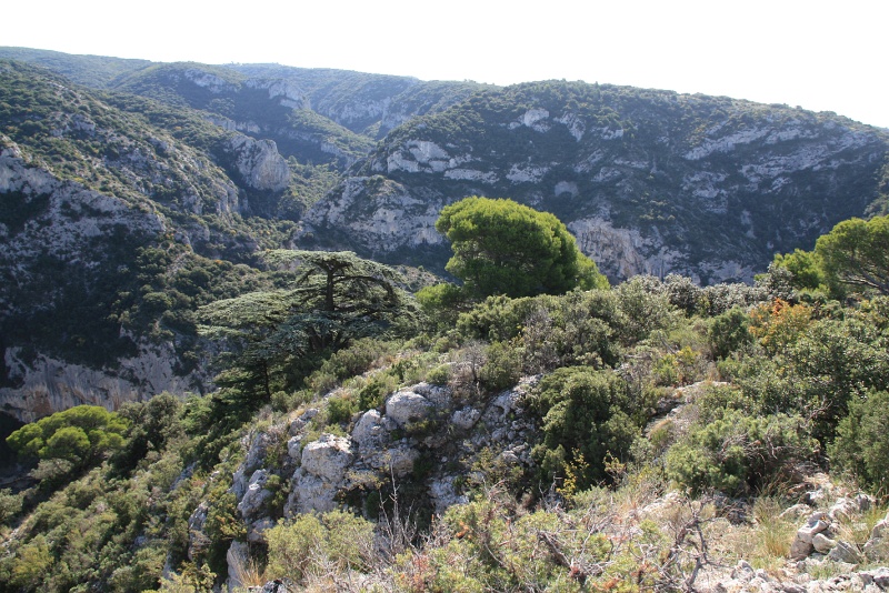 IMG_7343.JPG - ACCES AUX CRETES 