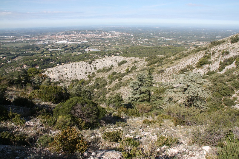 IMG_7355.JPG - DES CRETES VUE SUR LA PLAINE DE CAVAILLON ET SA COLLINE 