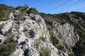 IMG_7254