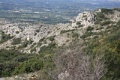 IMG_7405