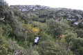 IMG_7517