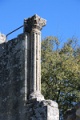 IMG_8804