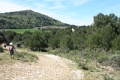 IMG_9001