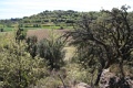 IMG_9028