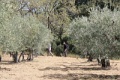 IMG_9047