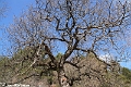 IMG_6865