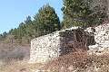 IMG_6867