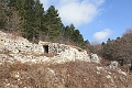 IMG_6875