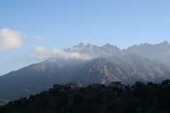 MOLTIFAO