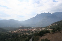 MOLTIFAO