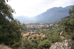 MOLTIFAO
