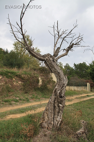 IMG_3362.jpg
