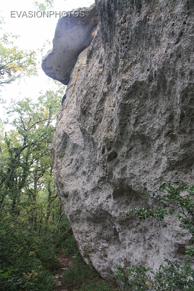 IMG_3385.jpg