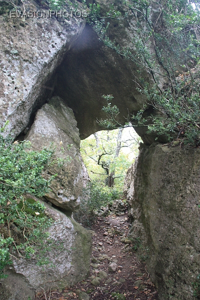 IMG_3386.jpg