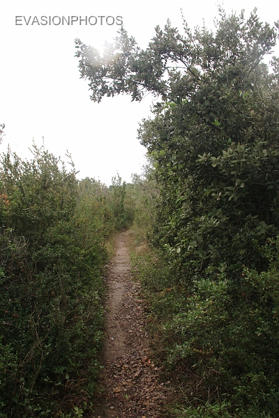 IMG_3486.jpg