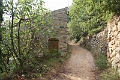 IMG_3363