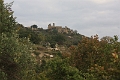 IMG_3370