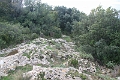IMG_3390