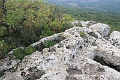 IMG_3411