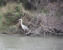 IMG_5547