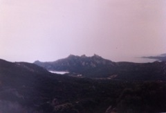 ROCCAPINA