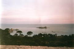 PALOMBAGGIA
