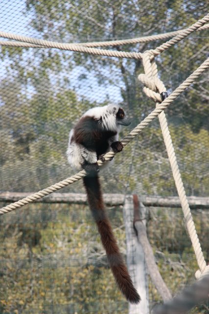 IMG_8460.JPG